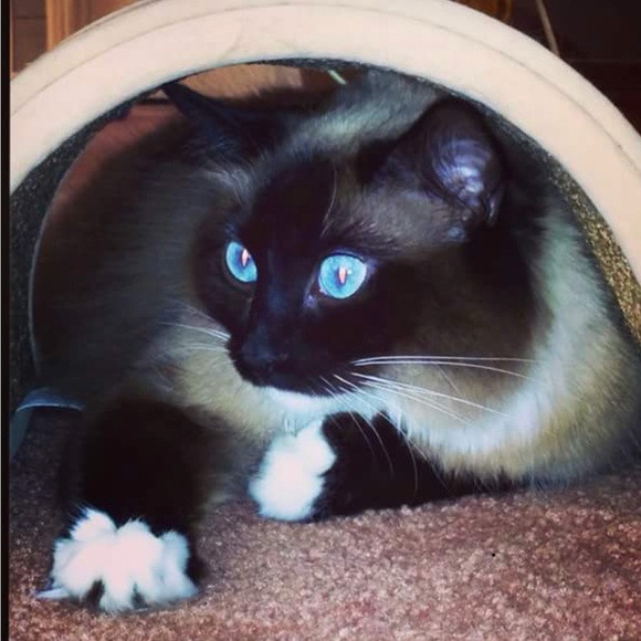 Meet your Posher, Jill - Picture 15 of 16